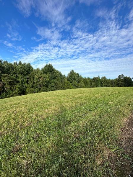0 Knob Creek Rd, Wartrace, TN 37183 - photo 1