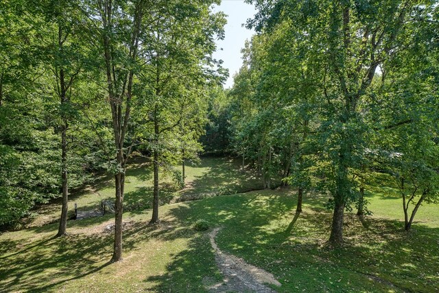 view of nature featuring a wooded view