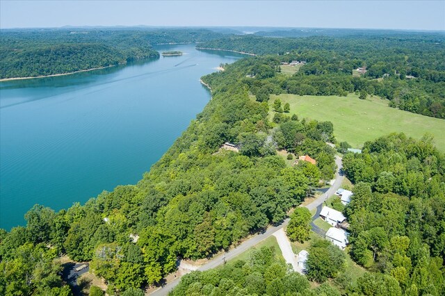 bird's eye view with a forest view and a water view