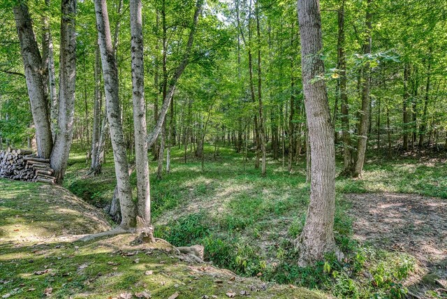 view of landscape with a forest view