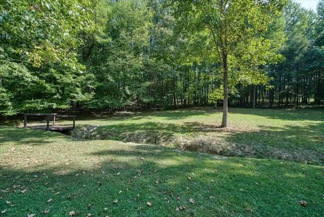 view of yard featuring a wooded view