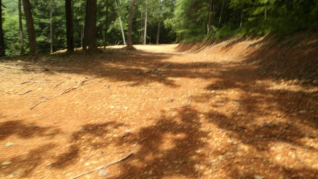 8.63AC Gravely Hill Rd, Bethpage, TN 37022