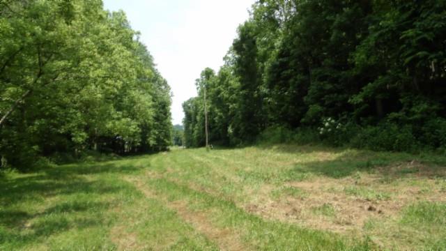 8.63AC Gravely Hill Rd, Bethpage, TN 37022