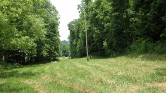 8.63AC Gravely Hill Rd, Bethpage, TN 37022