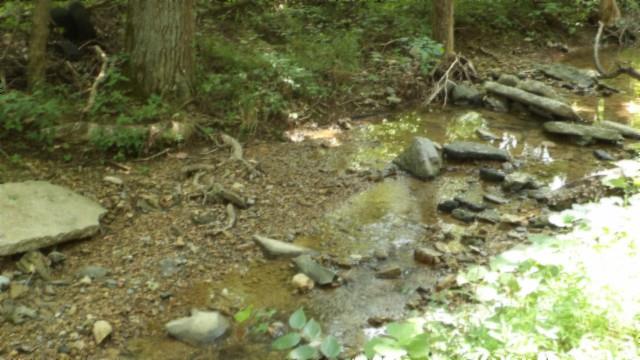 8.63AC Gravely Hill Rd, Bethpage, TN 37022