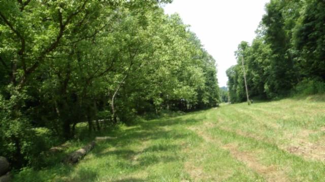 8.63AC Gravely Hill Rd, Bethpage, TN 37022