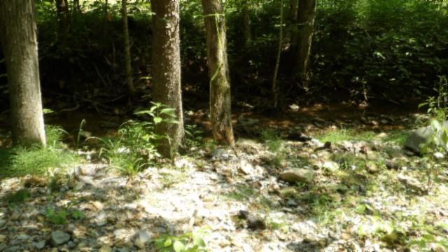 8.63AC Gravely Hill Rd, Bethpage, TN 37022