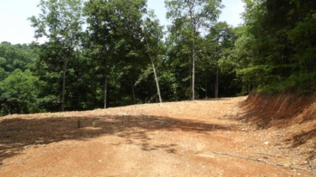 8.63AC Gravely Hill Rd, Bethpage, TN 37022