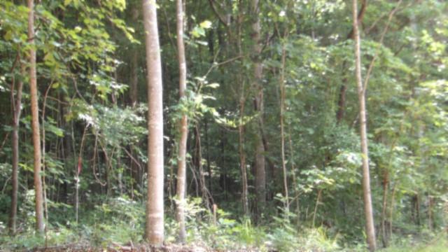 8.63AC Gravely Hill Rd, Bethpage, TN 37022