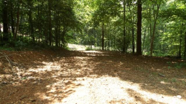 8.63AC Gravely Hill Rd, Bethpage, TN 37022
