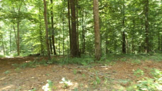 8.63AC Gravely Hill Rd, Bethpage, TN 37022