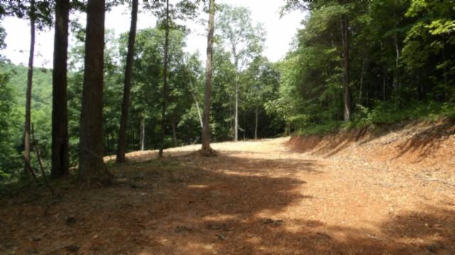 8.63AC Gravely Hill Rd, Bethpage, TN 37022