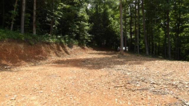 8.63AC Gravely Hill Rd, Bethpage, TN 37022