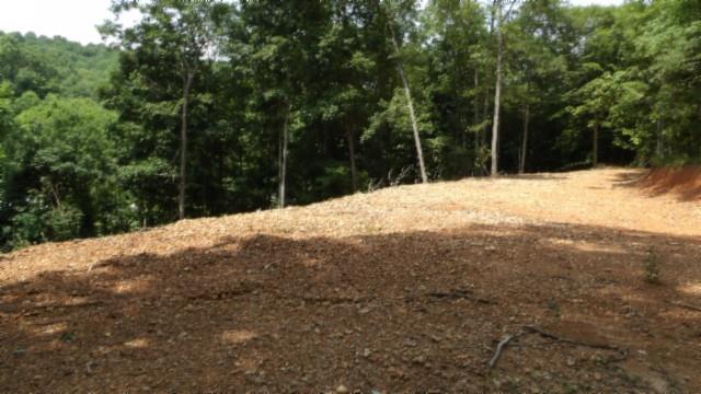 8.63AC Gravely Hill Rd, Bethpage, TN 37022