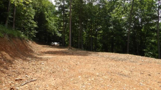 8.63AC Gravely Hill Rd, Bethpage, TN 37022