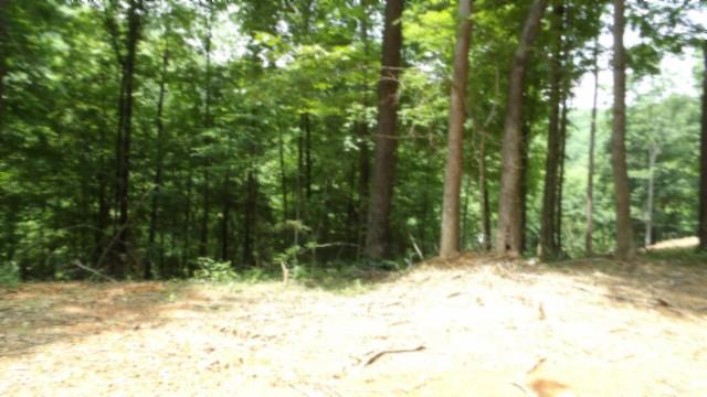 8.63AC Gravely Hill Rd, Bethpage, TN 37022