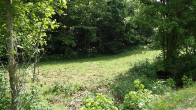 8.63AC Gravely Hill Rd, Bethpage, TN 37022