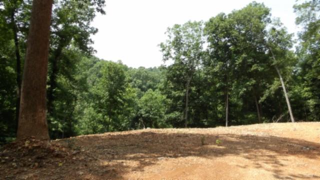 8.63AC Gravely Hill Rd, Bethpage, TN 37022