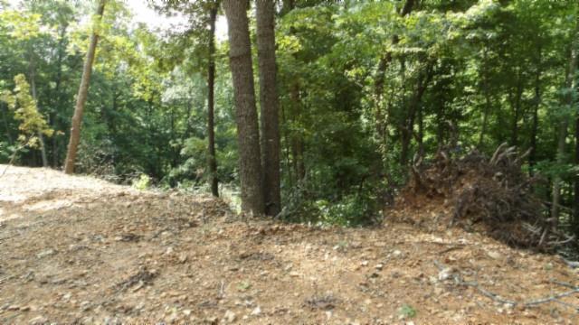 8.63AC Gravely Hill Rd, Bethpage, TN 37022