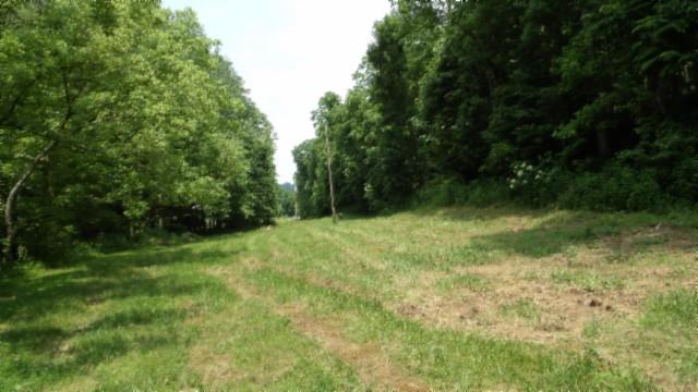 8.63AC Gravely Hill Rd, Bethpage, TN 37022