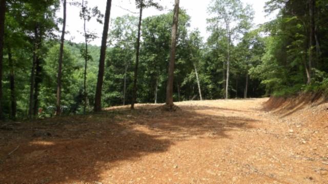 8.63AC Gravely Hill Rd, Bethpage, TN 37022