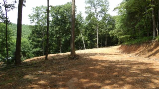 8.63AC Gravely Hill Rd, Bethpage, TN 37022