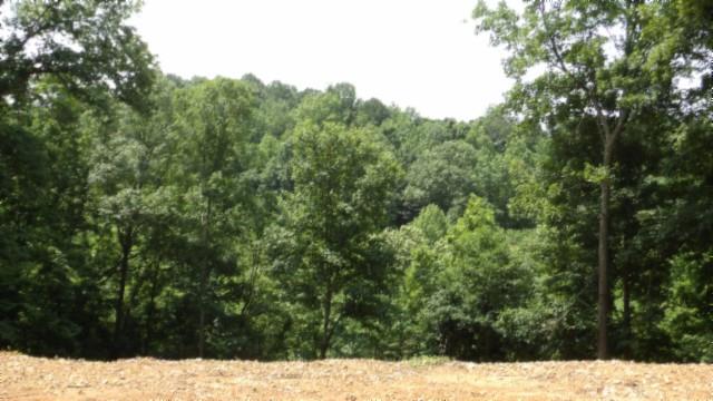 8.63AC Gravely Hill Rd, Bethpage, TN 37022