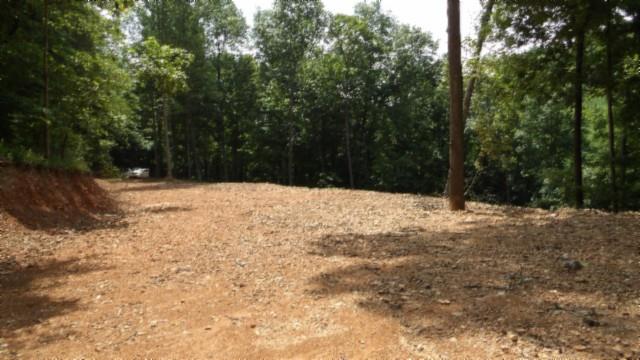 8.63AC Gravely Hill Rd, Bethpage, TN 37022