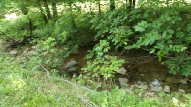 8.63AC Gravely Hill Rd, Bethpage, TN 37022
