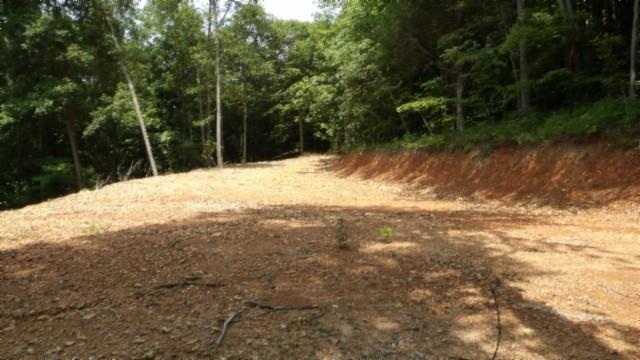 8.63AC Gravely Hill Rd, Bethpage, TN 37022