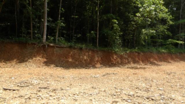 8.63AC Gravely Hill Rd, Bethpage, TN 37022