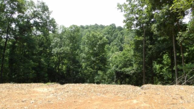 8.63AC Gravely Hill Rd, Bethpage, TN 37022