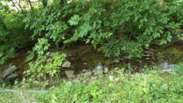 8.63AC Gravely Hill Rd, Bethpage, TN 37022