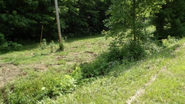 8.63AC Gravely Hill Rd, Bethpage, TN 37022