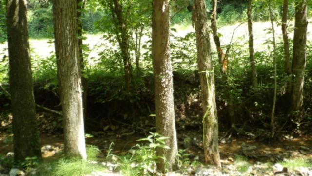 8.63AC Gravely Hill Rd, Bethpage, TN 37022