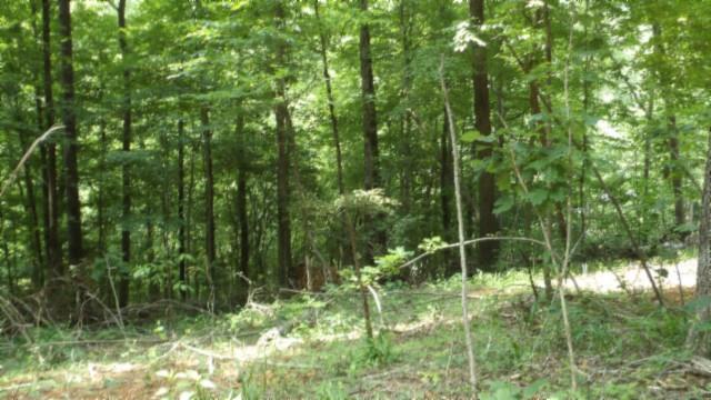 8.63AC Gravely Hill Rd, Bethpage, TN 37022