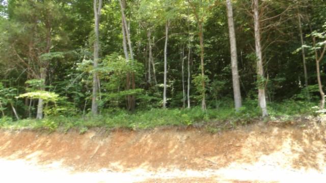 8.63AC Gravely Hill Rd, Bethpage, TN 37022