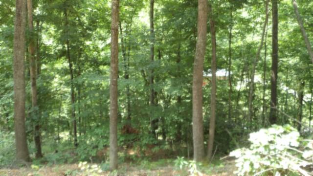 8.63AC Gravely Hill Rd, Bethpage, TN 37022