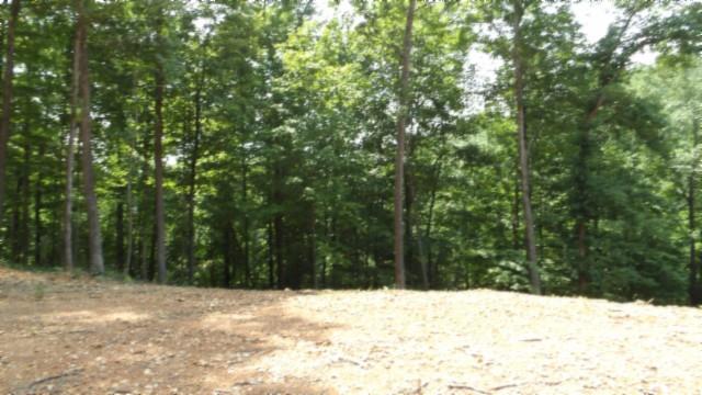8.63AC Gravely Hill Rd, Bethpage, TN 37022