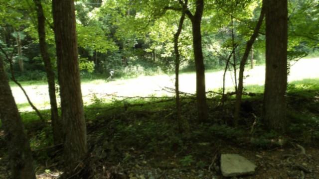 8.63AC Gravely Hill Rd, Bethpage, TN 37022