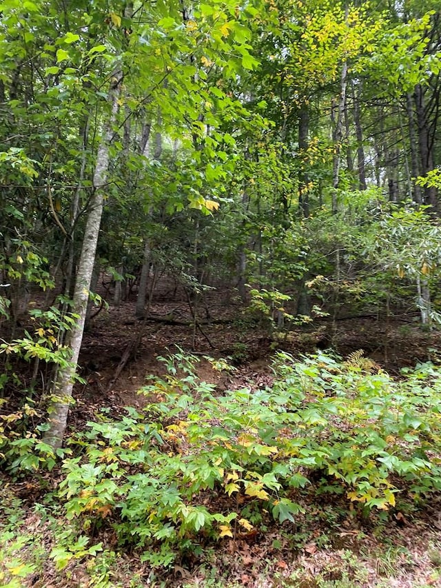 LOT1 Arrow Trl, Monterey, TN 38574 - photo 6