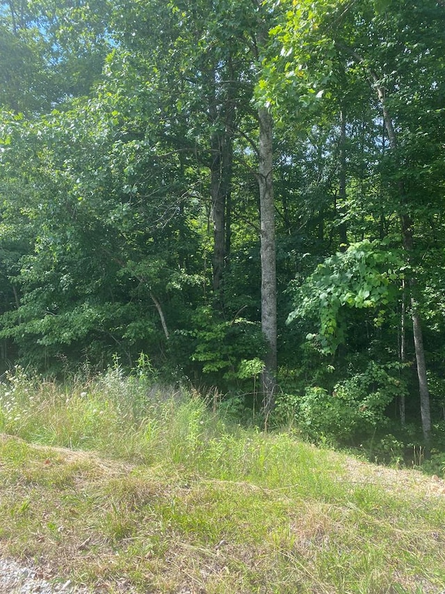 LOT1 Arrow Trl, Monterey, TN 38574 - photo 4