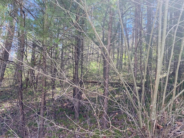 LOT1 Arrow Trl, Monterey, TN 38574 - photo 2