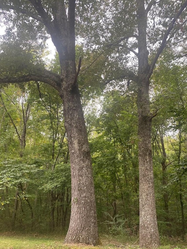 LOT1 Arrow Trl, Monterey, TN 38574 - photo 5