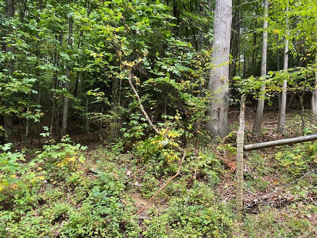 LOT1 Arrow Trl, Monterey, TN 38574 - photo 7