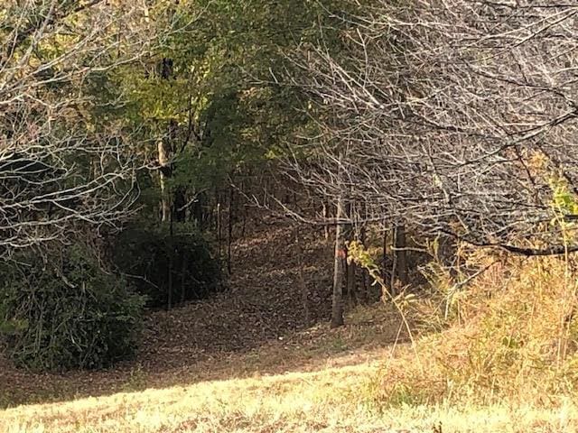 0000 Felps Ln, Gainesboro, TN 38562 - photo 20