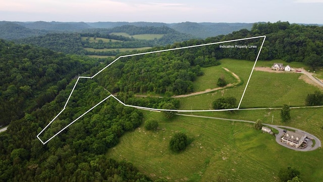 0000 Felps Ln, Gainesboro, TN 38562 - photo 1