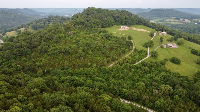0000 Felps Ln, Gainesboro, TN 38562 - photo 4