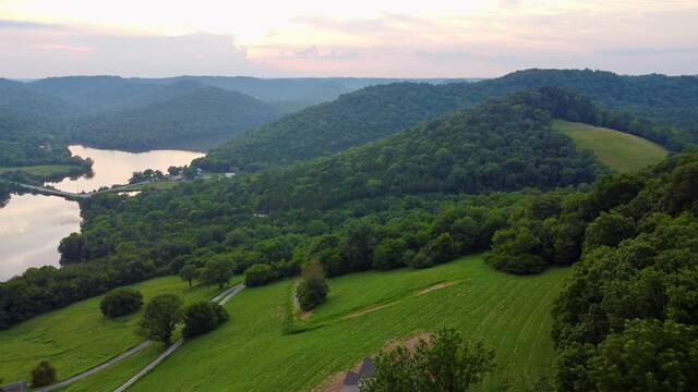 0000 Felps Ln, Gainesboro, TN 38562 - photo 9