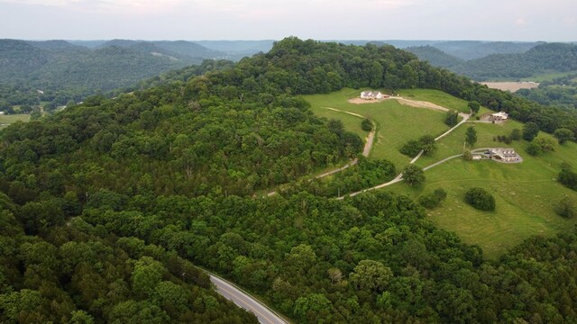 0000 Felps Ln, Gainesboro, TN 38562 - photo 3